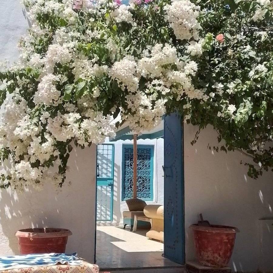 Djerbahouch Villa Мидун Екстериор снимка